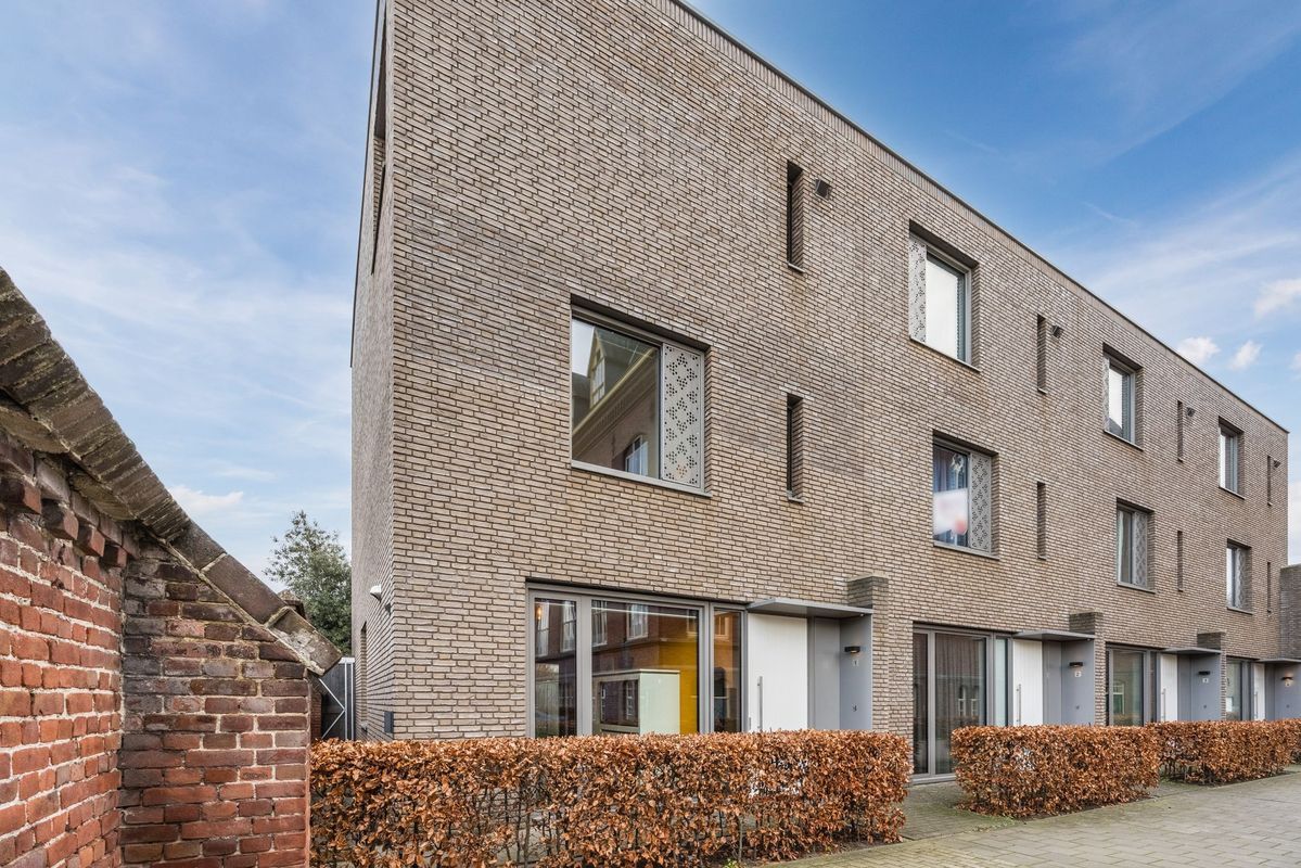 Rooi Hartenpark 1 Photo Blur 42