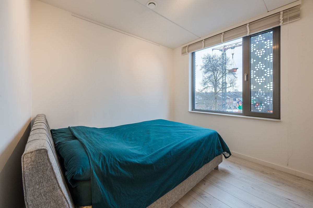 Rooi Hartenpark 1 Photo Blur 30