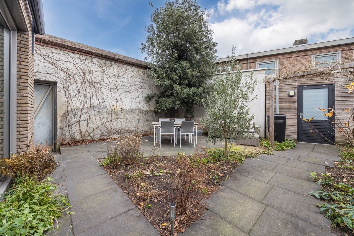 Rooi Hartenpark 1 Photo Blur 40