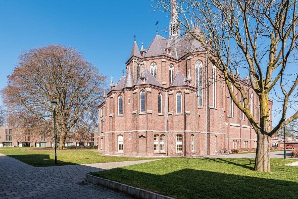 Rooi Hartenpark 1 Photo Blur 46