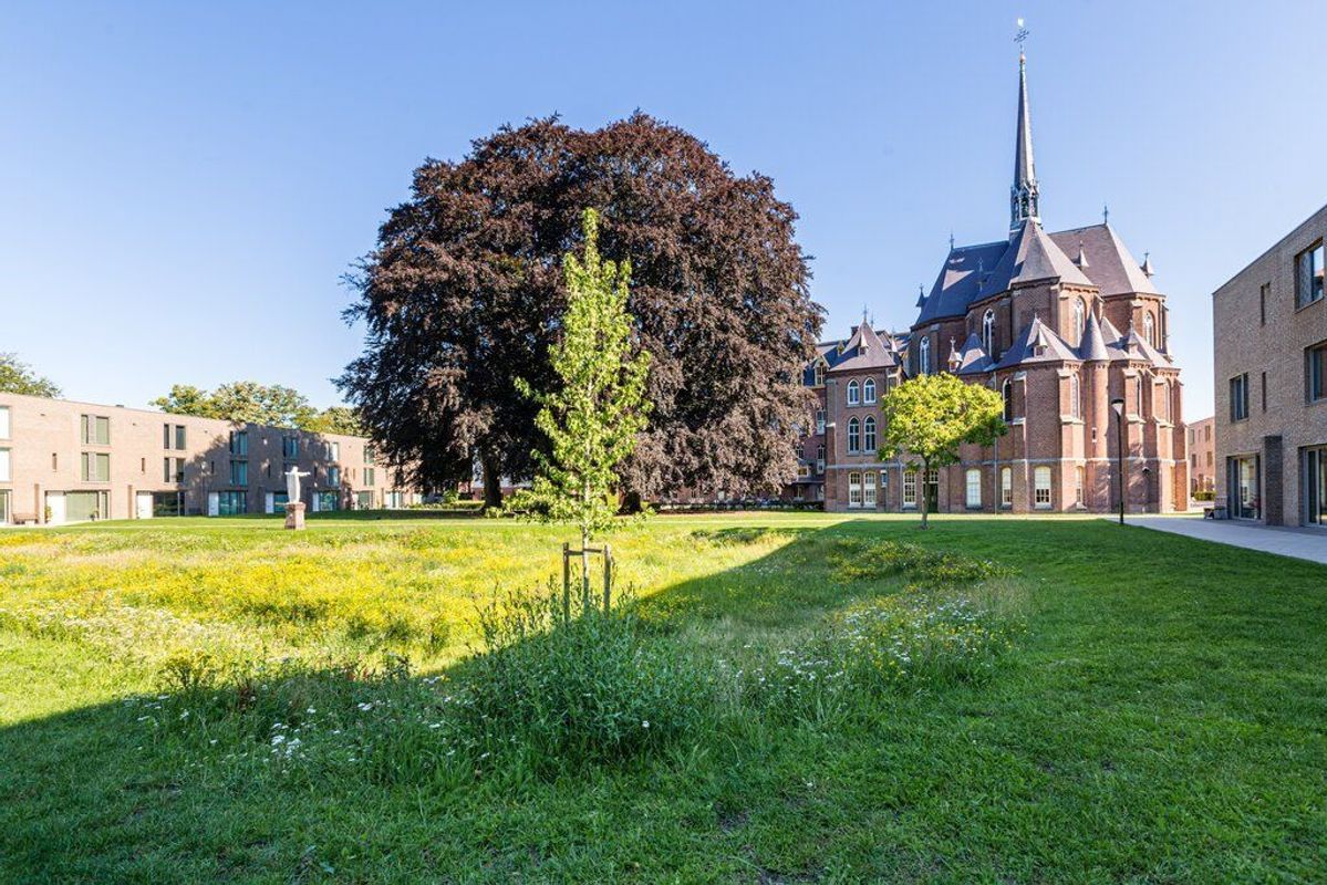 Rooi Hartenpark 1 Photo Blur 50