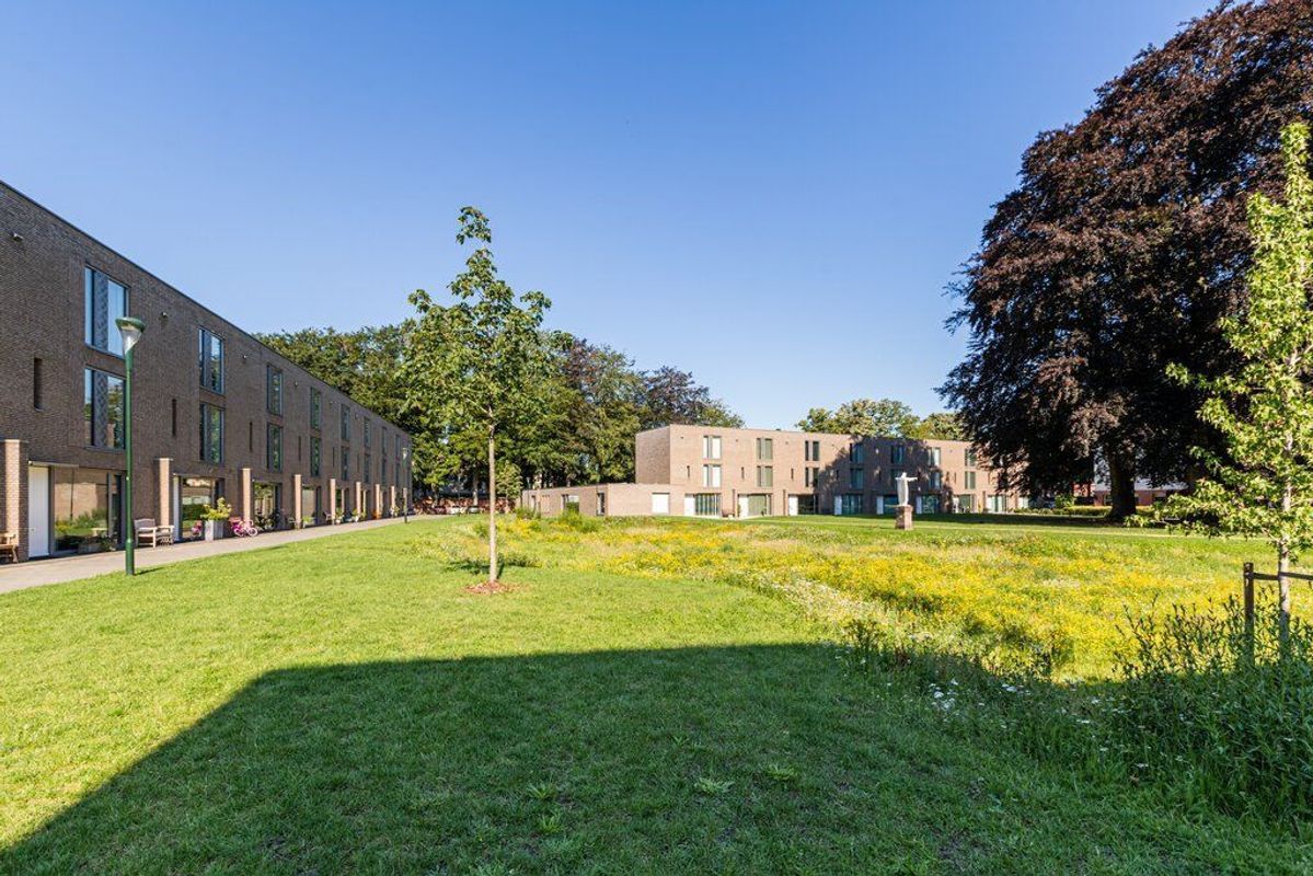 Rooi Hartenpark 1 Photo Blur 49