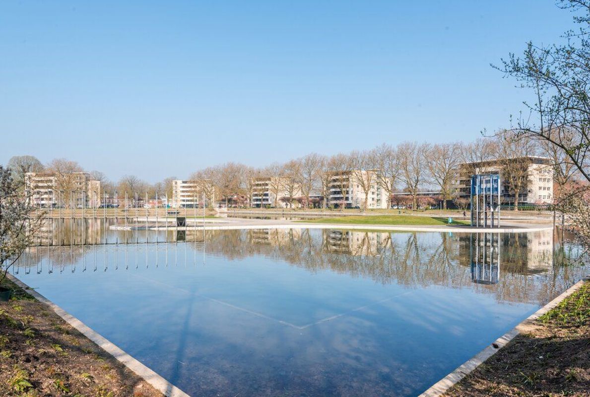 Rooi Hartenpark 1 Photo Blur 53