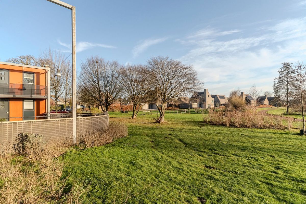 Meeuwenhof 20 Photo Blur 37