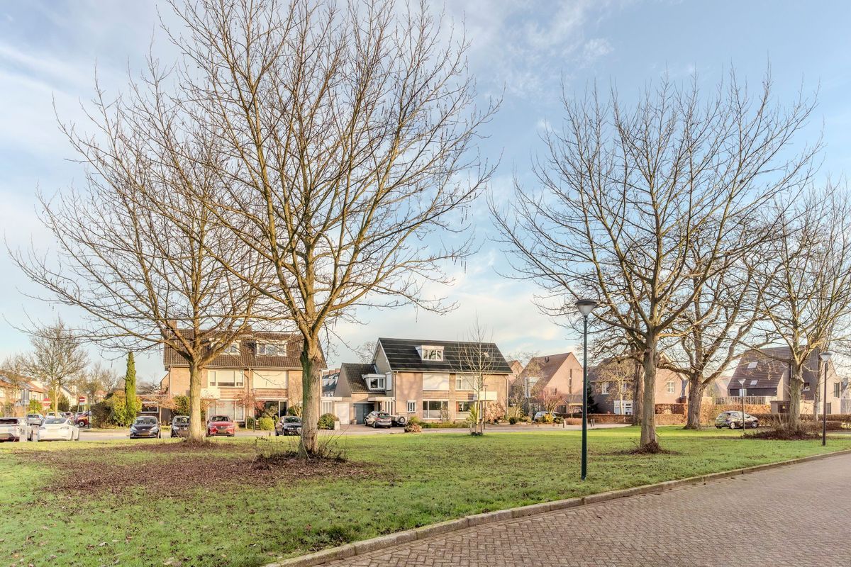 Meeuwenhof 20 Photo Blur 46