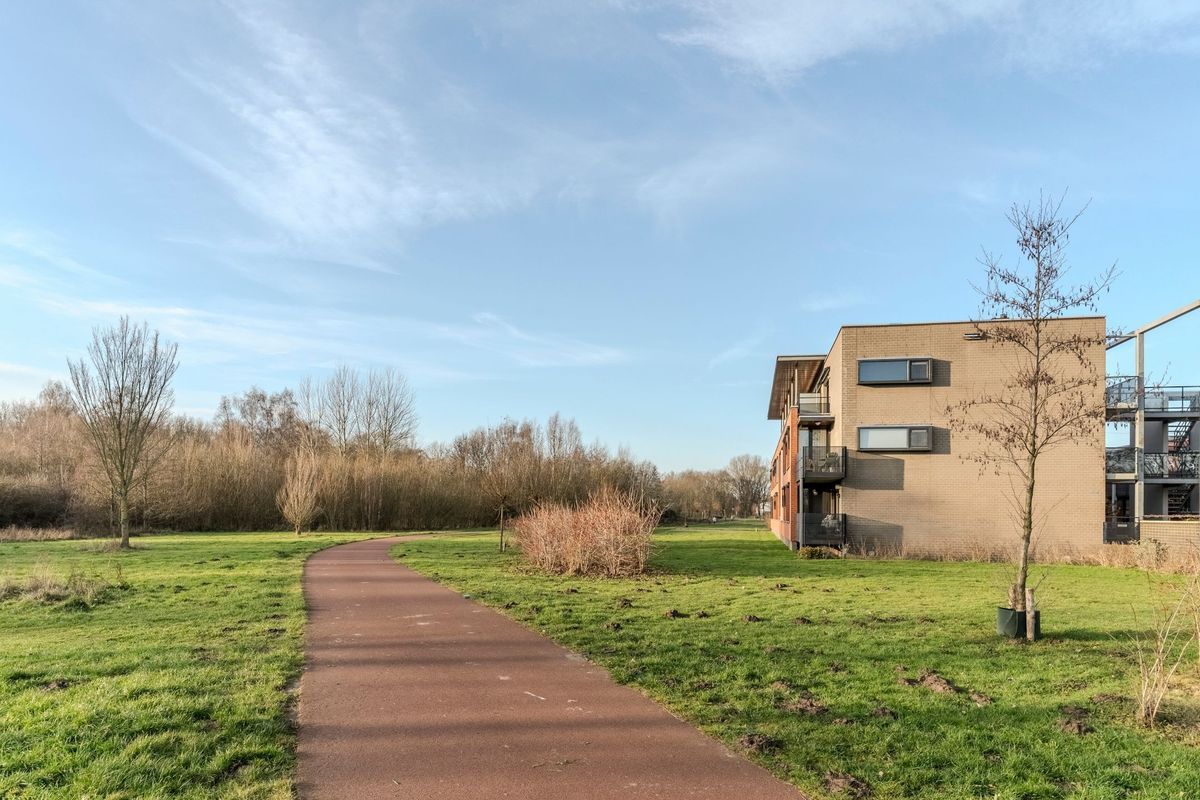 Meeuwenhof 20 Photo Blur 47