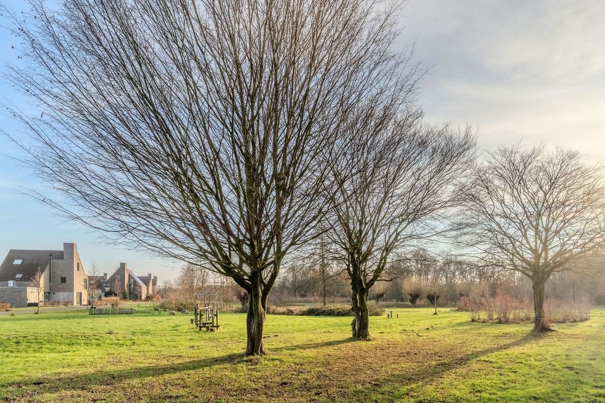 Meeuwenhof 20 Photo Blur 49