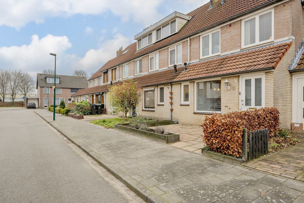 Tuin 11 Photo Blur 58