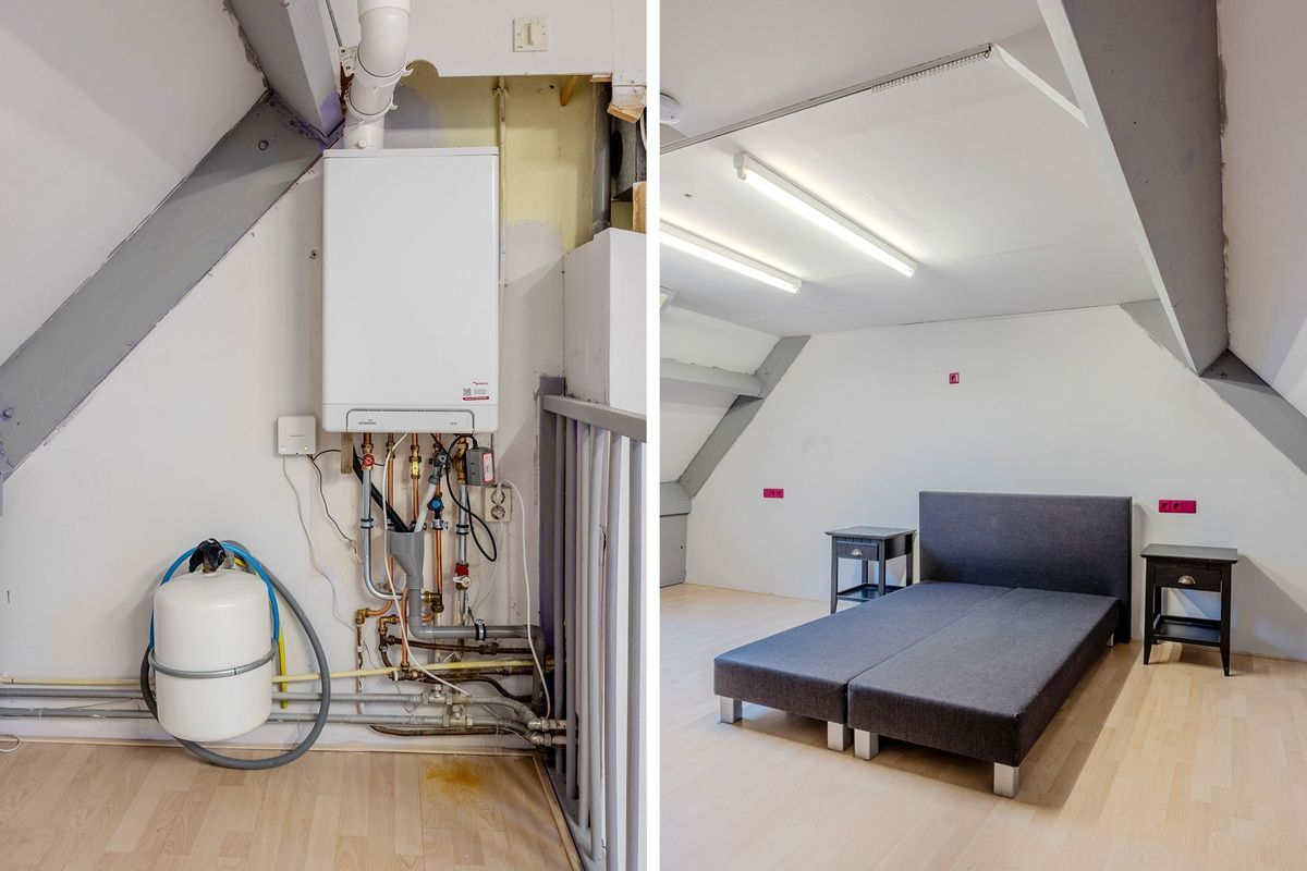 Tuin 11 Photo Blur 45