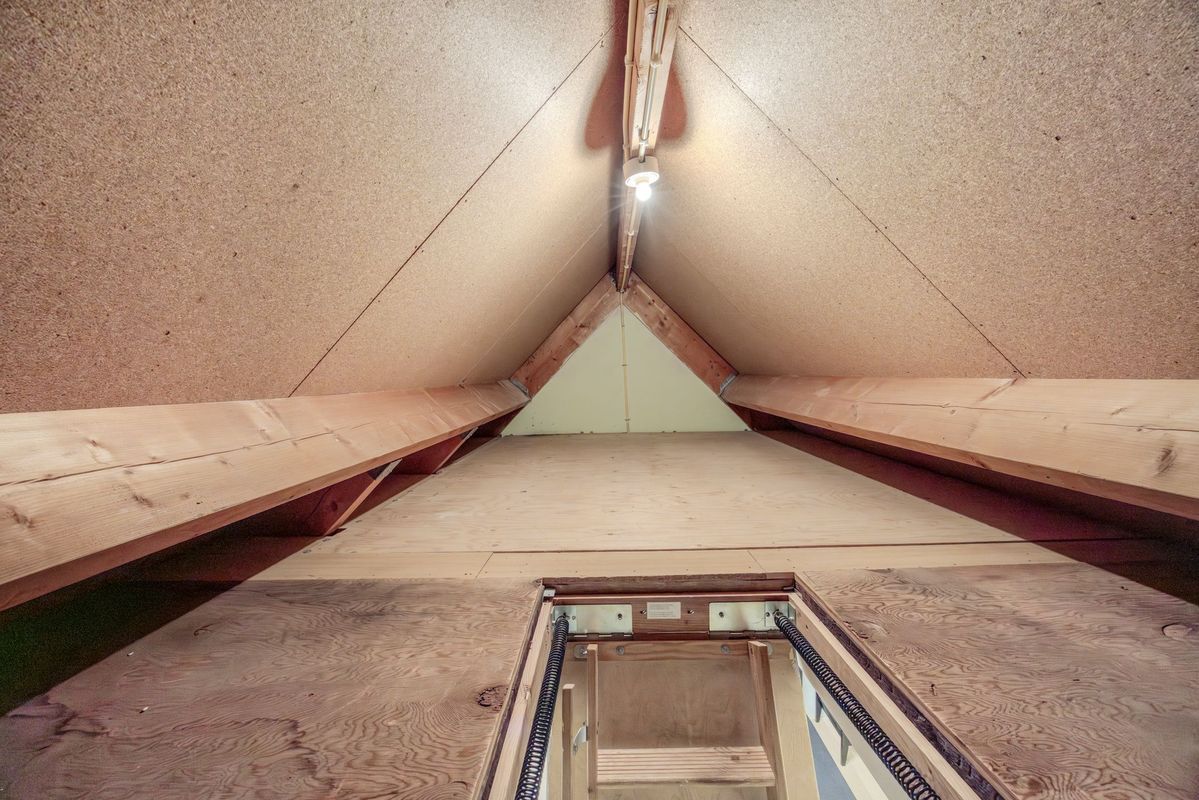 Tuin 11 Photo Blur 50