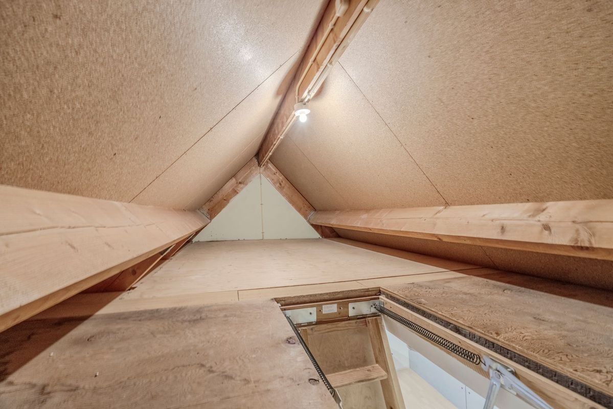 Tuin 11 Photo Blur 49