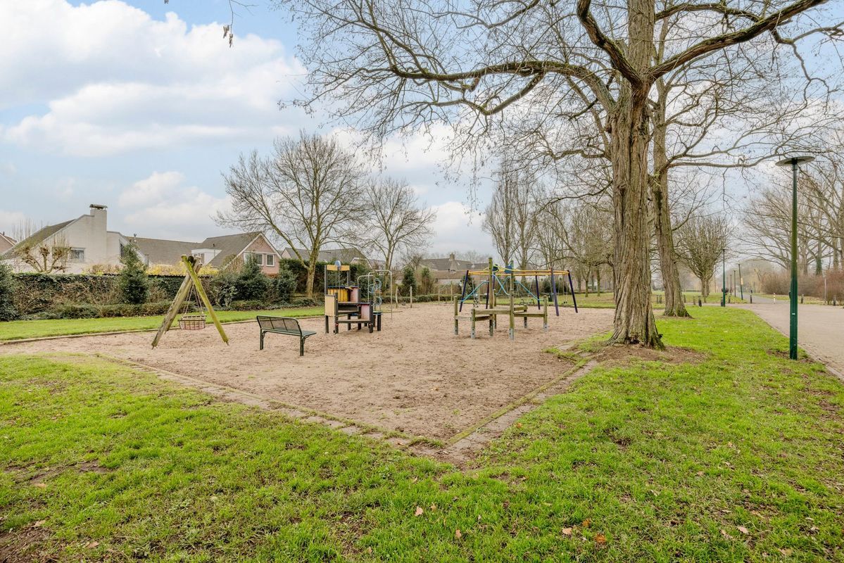 Tuin 11 Photo Blur 52