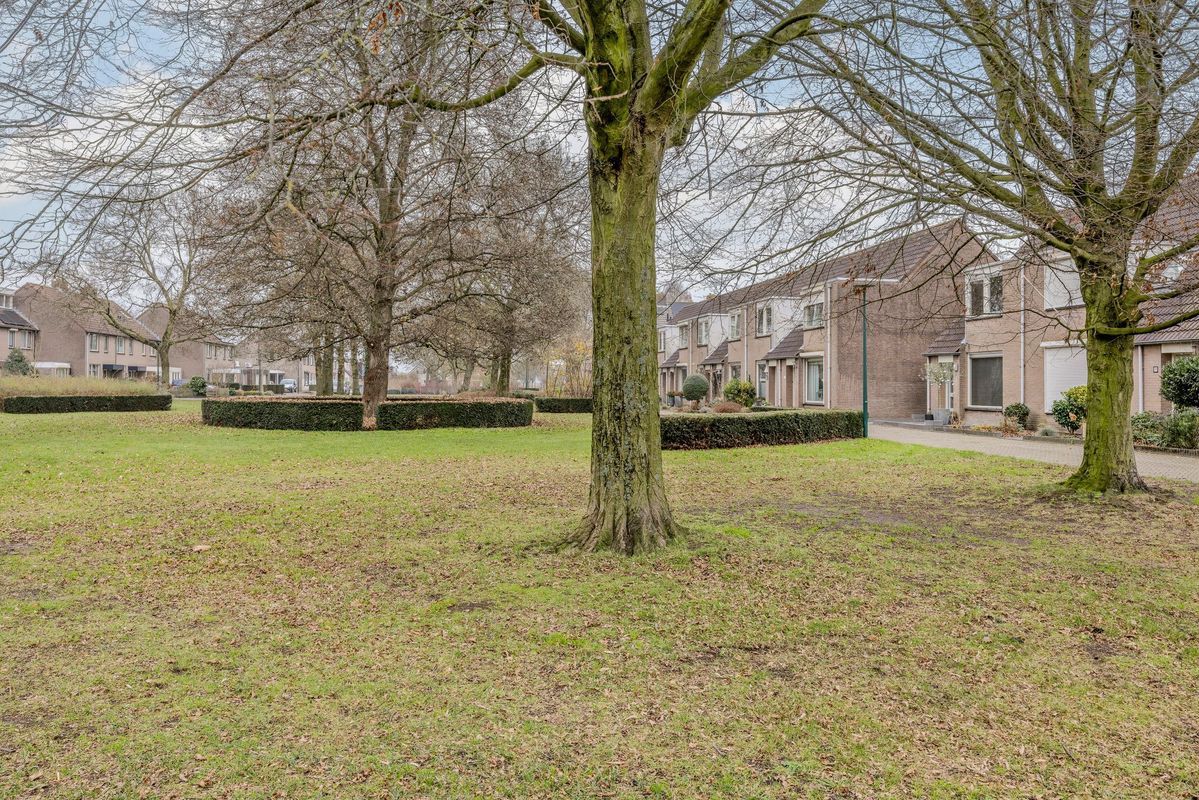 Tuin 11 Photo Blur 53