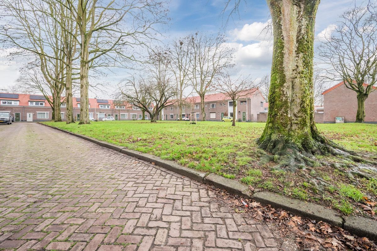 Coba Pulskenslaan 16 Photo Blur 36