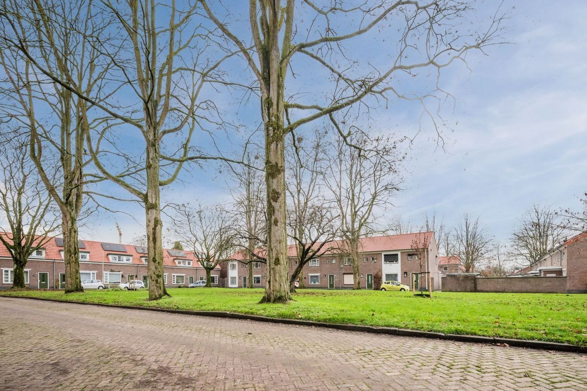 Coba Pulskenslaan 16 Photo Blur 35