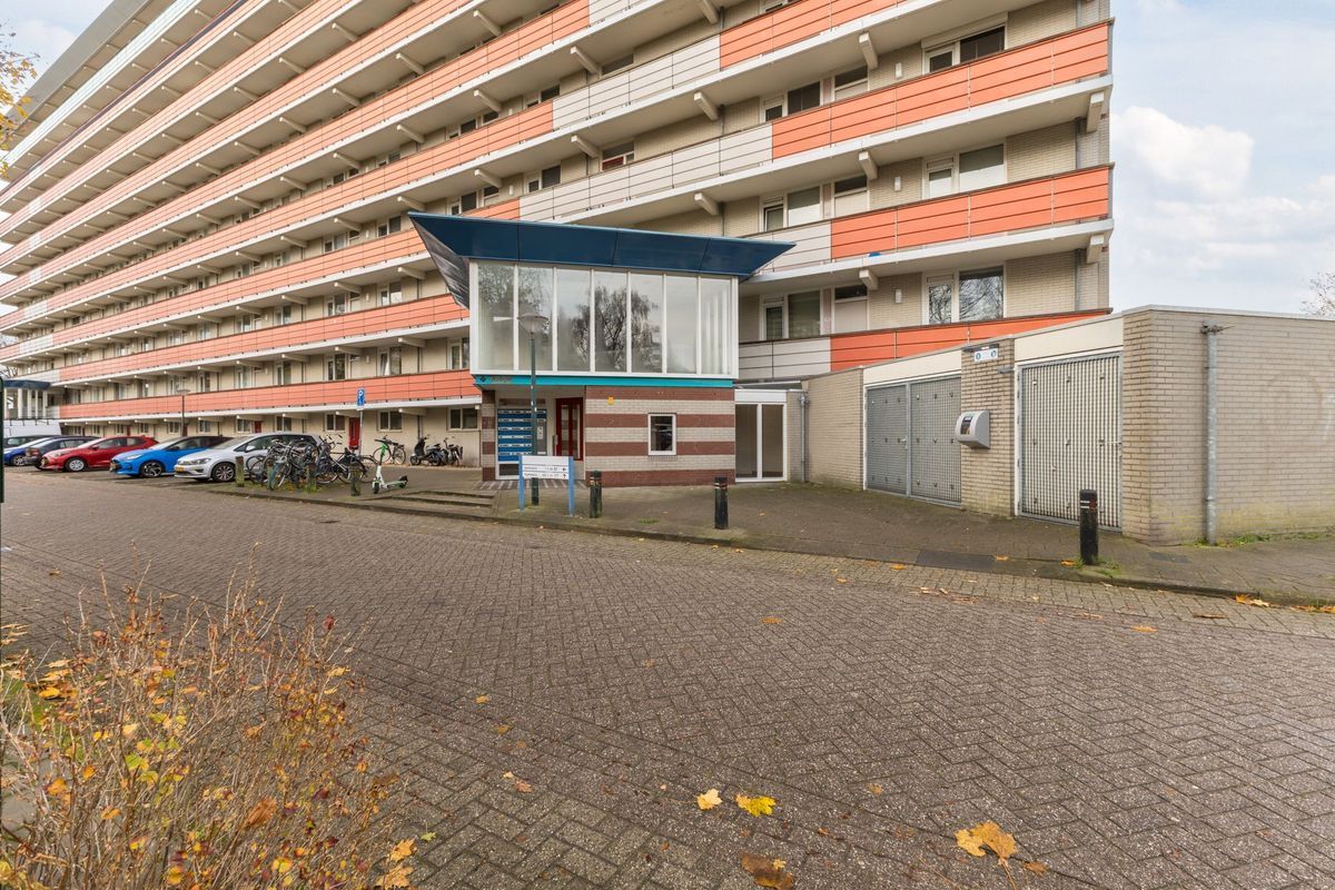 Raamveld 117 Photo Blur 5