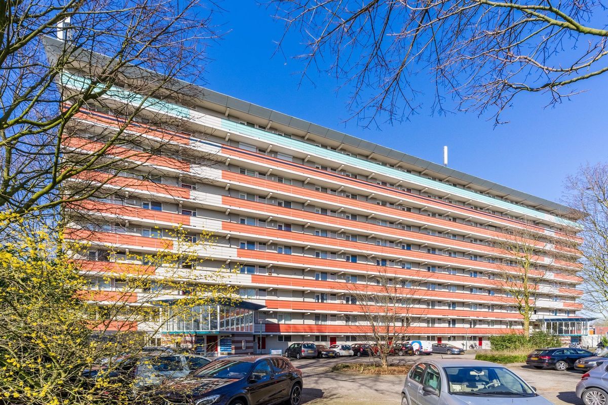 Raamveld 117 Photo Blur 38