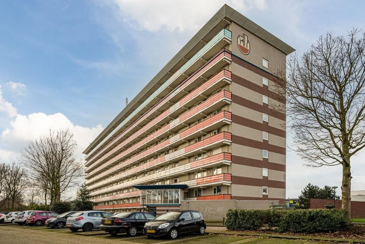 Raamveld 157 Photo Blur 0