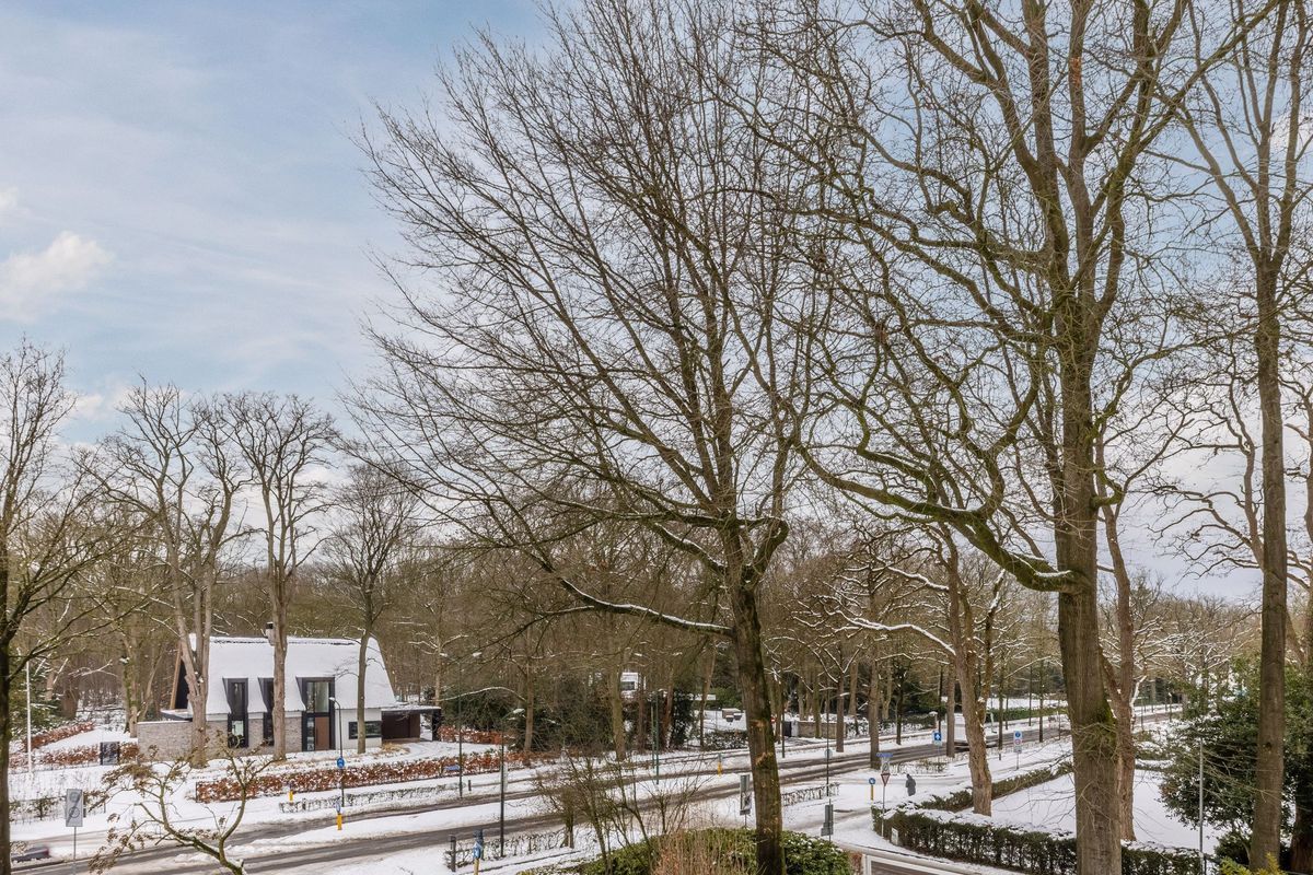 Tilburgseweg 193 - 05 Photo Blur 12