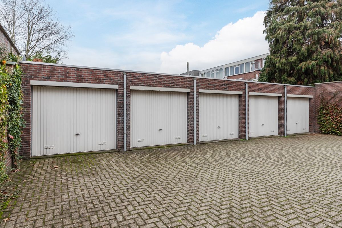 Bisschop Zwijsenstraat 31 - b Photo Blur 22