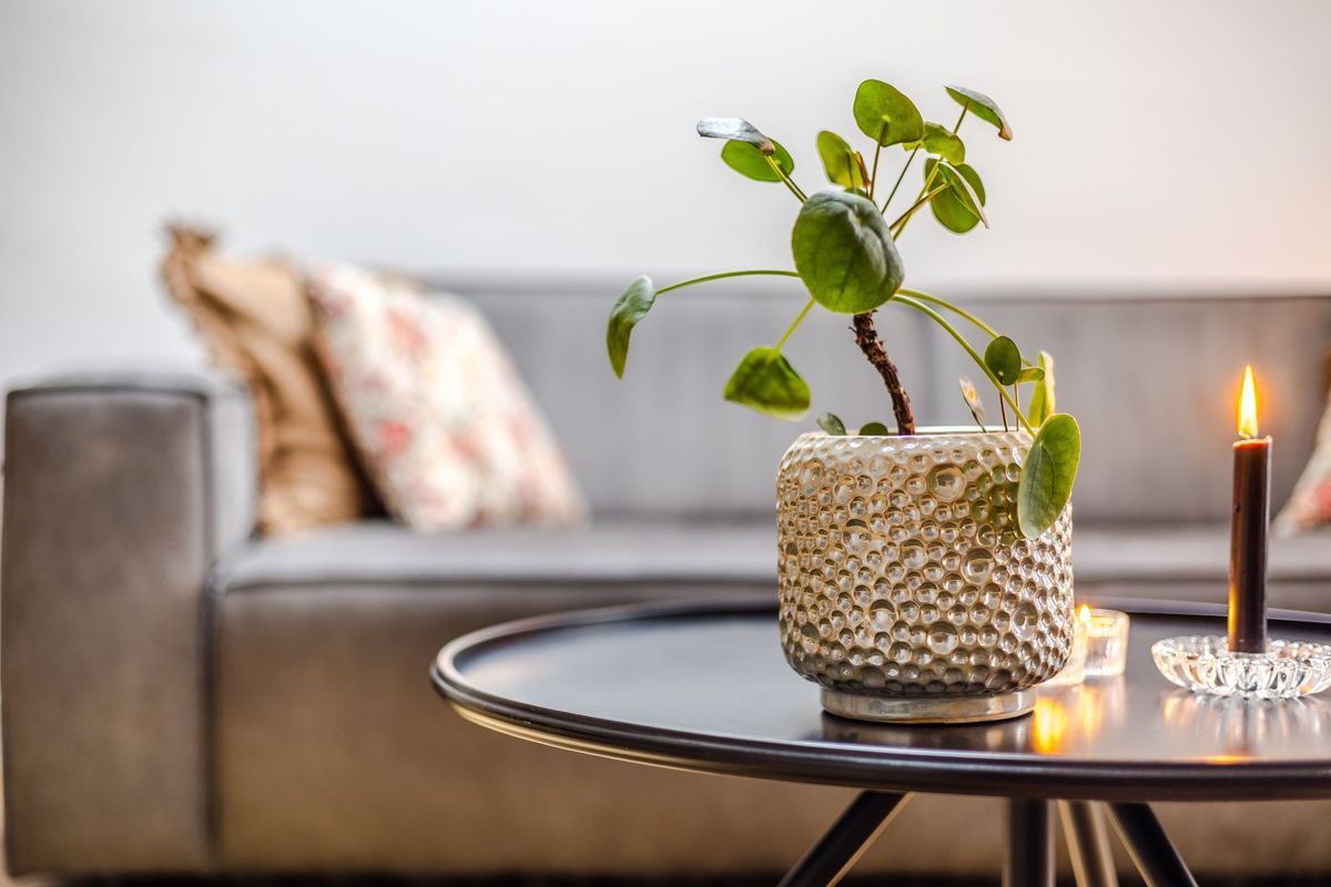 Prins Hendrikstraat 3 Photo Blur 10