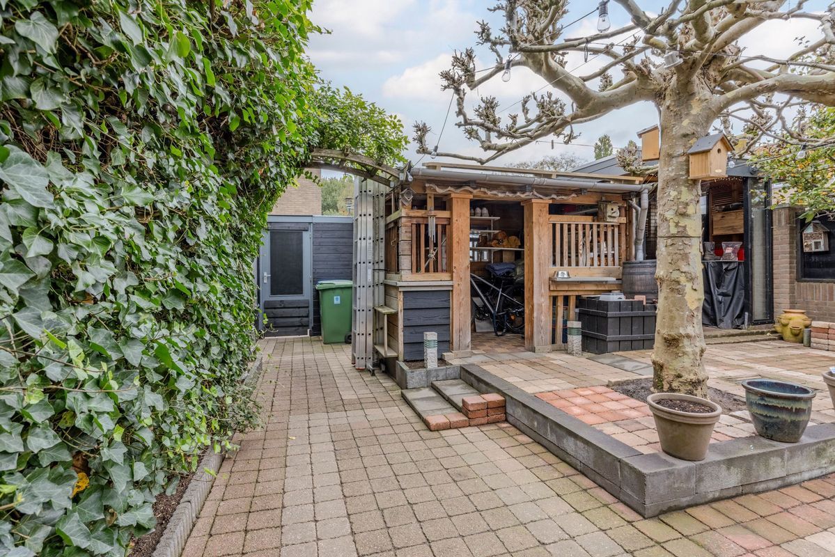 Giraffestraat 2 Photo Blur 34