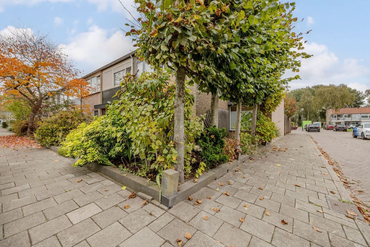 Giraffestraat 2 Photo Blur 38