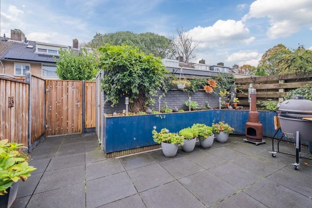 Dolphijnstraat 8 Photo Blur 13