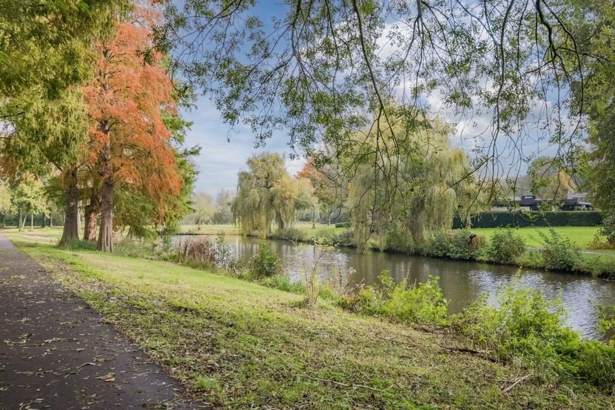 Dolphijnstraat 8 Photo Blur 33