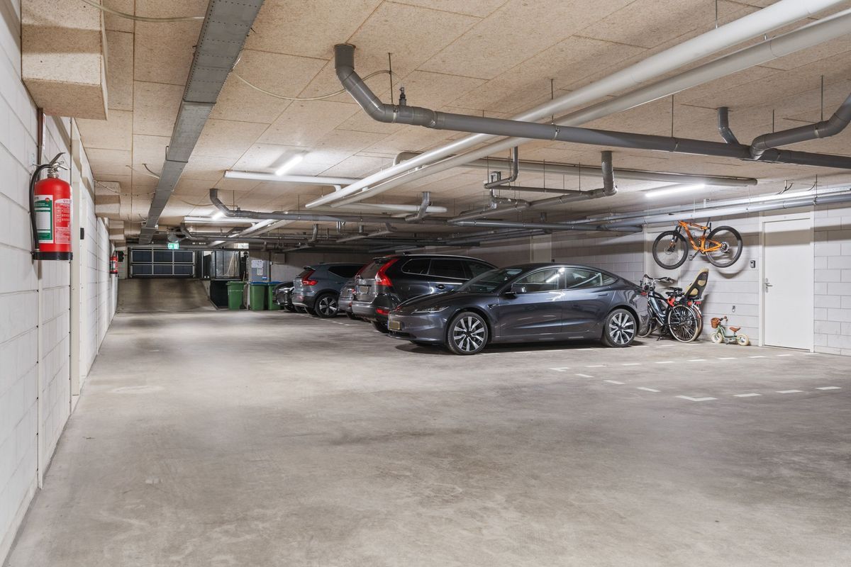 Coulissen 169 Photo Blur 40