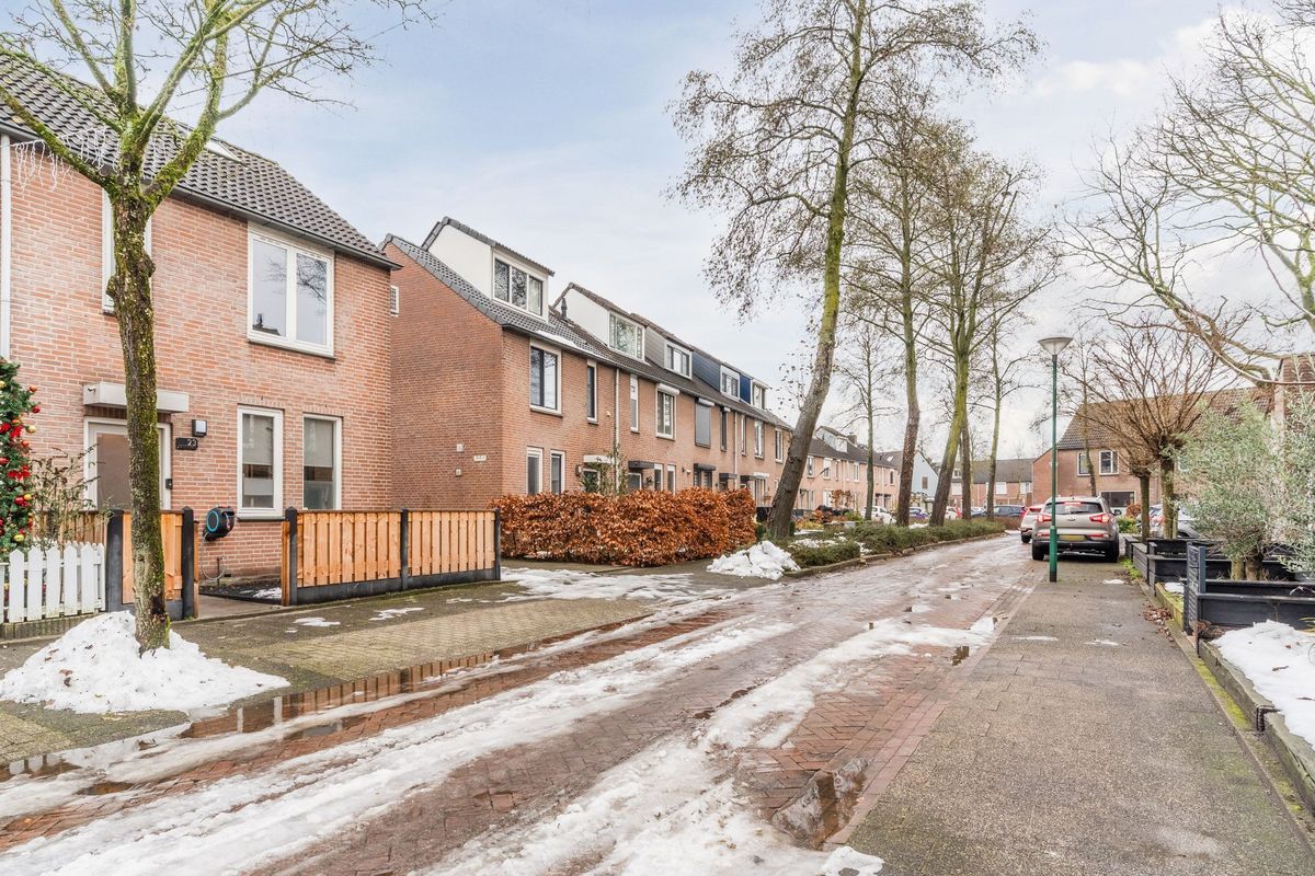 Bongelakker 23 Photo Blur 39