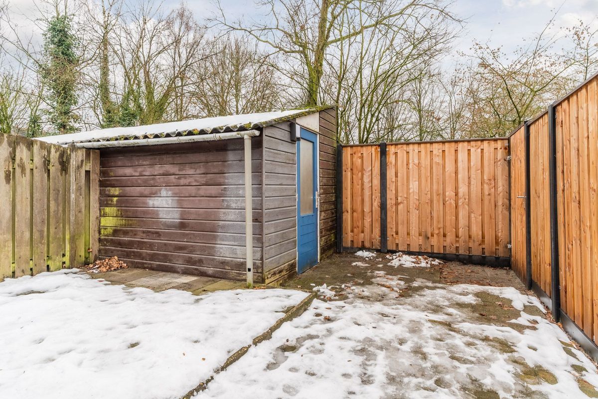 Bongelakker 23 Photo Blur 17