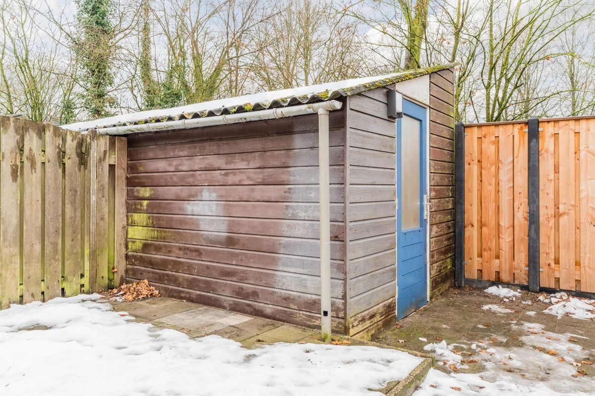 Bongelakker 23 Photo Blur 18