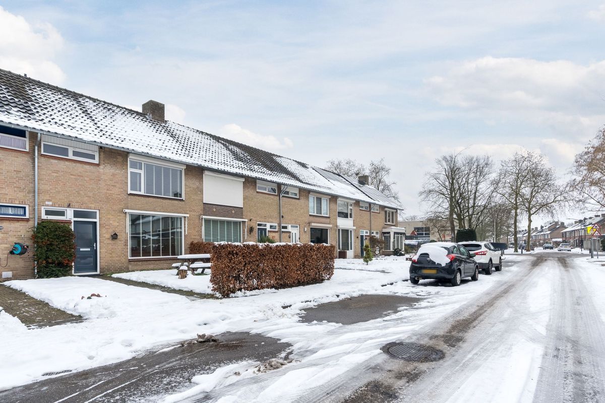 Hazelaar 33 Photo Blur 48