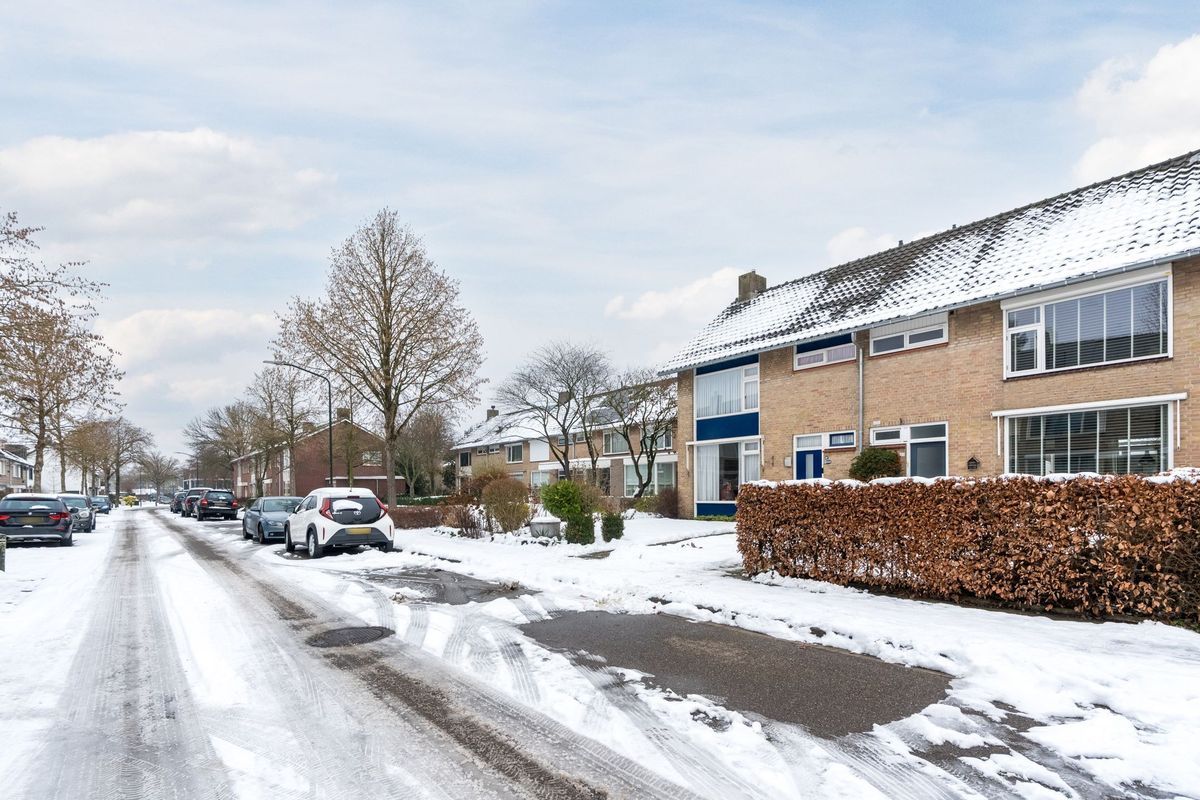 Hazelaar 33 Photo Blur 49