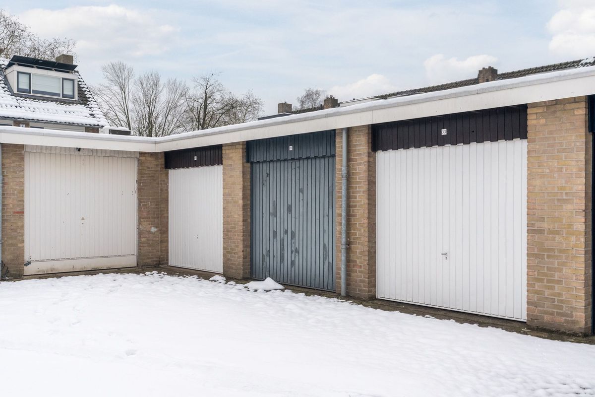 Hazelaar 33 Photo Blur 46