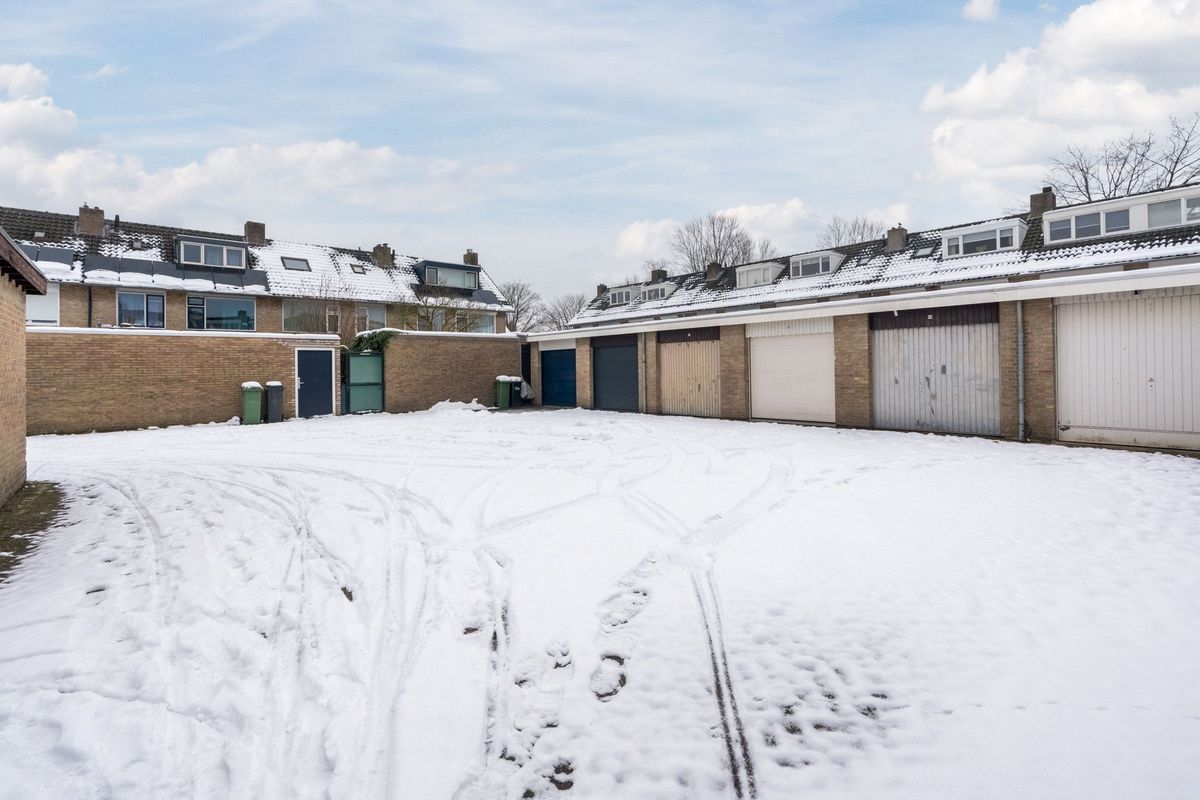 Hazelaar 33 Photo Blur 47