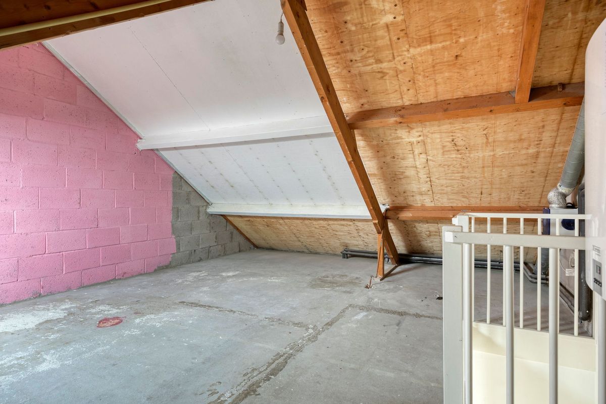 Schoenmaker 2 Photo Blur 20