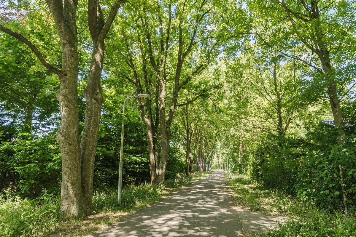 Lennondreef 33 Photo Blur 30