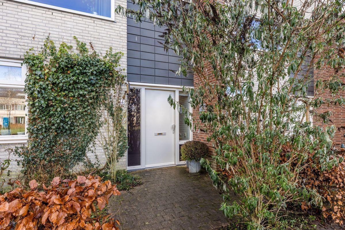 Santpoortplein 44 Photo Blur 26