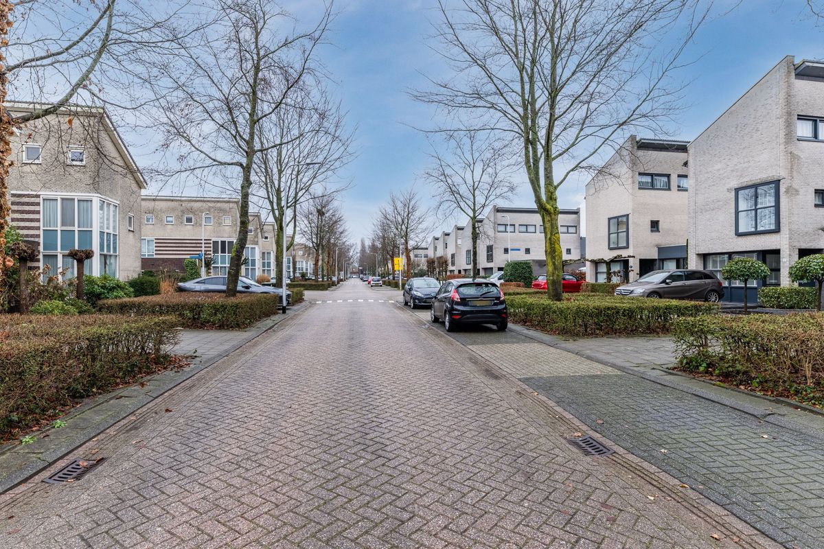 Maasbommelstraat 36 Photo Blur 41