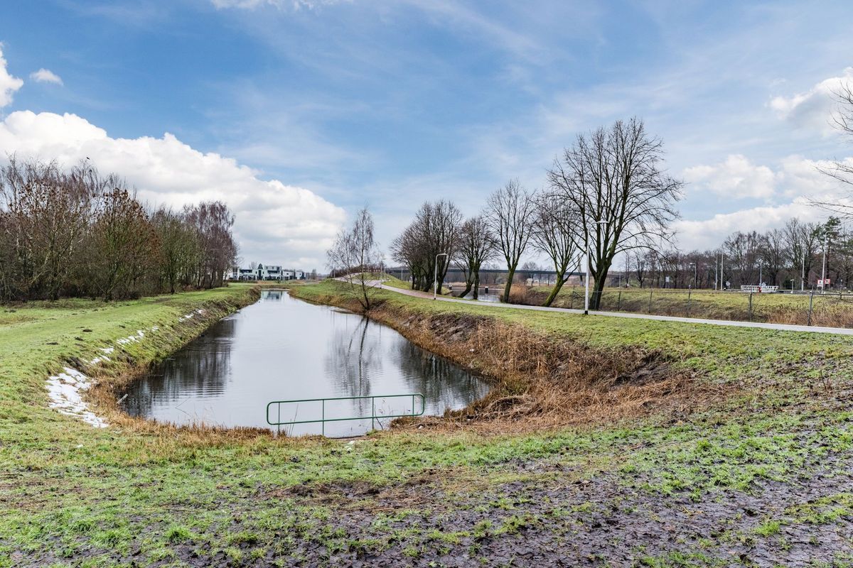 Maasbommelstraat 36 Photo Blur 43