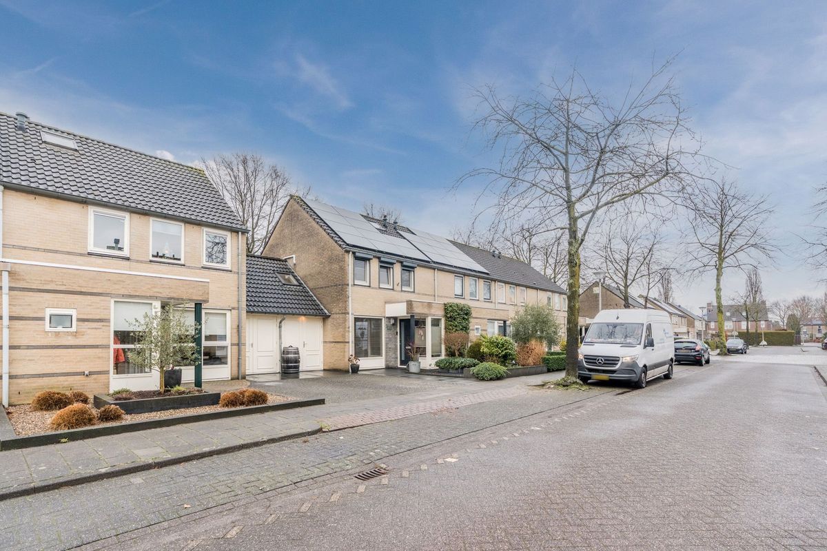 Boekweit 22 Photo Blur 40