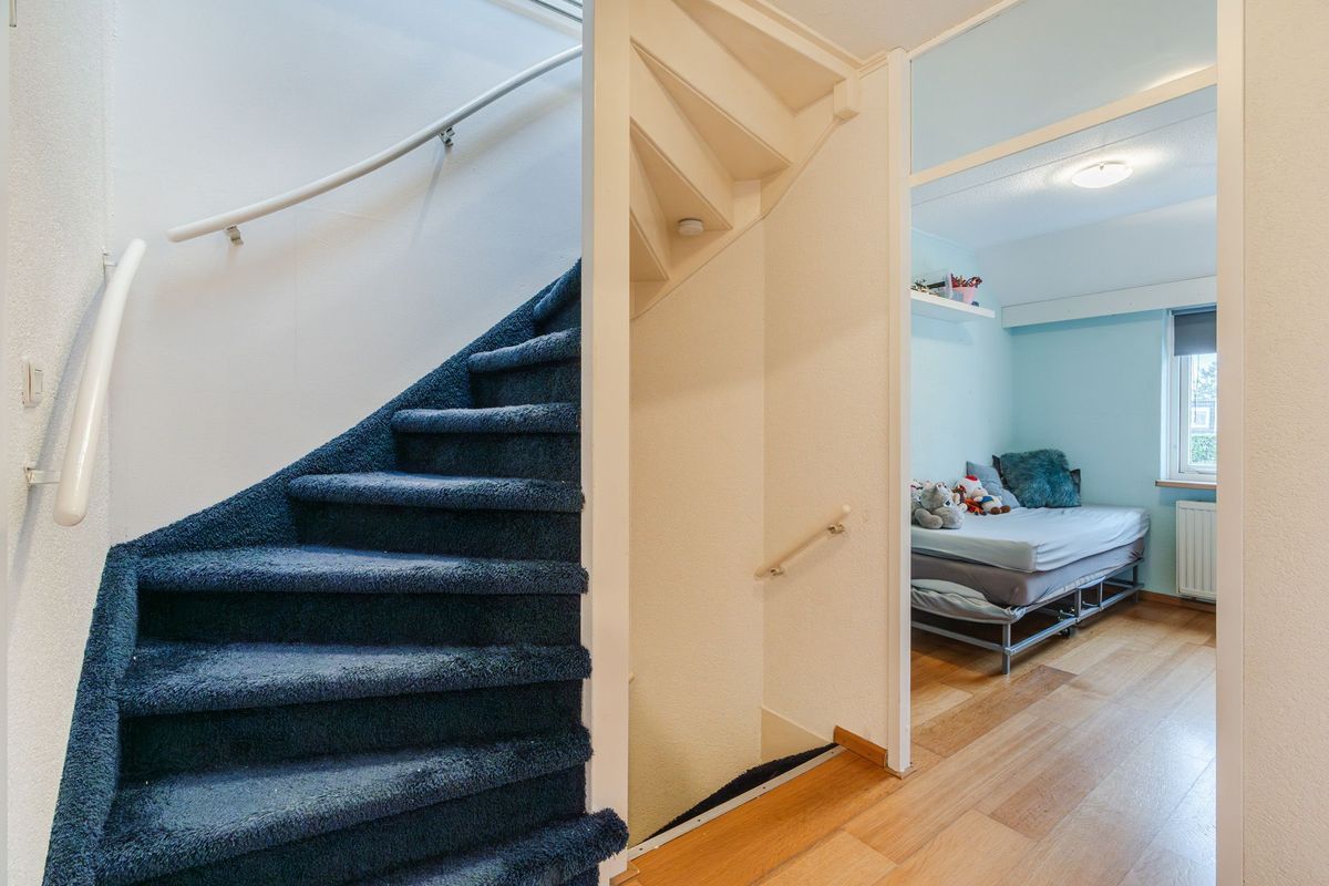 Boekweit 22 Photo Blur 24