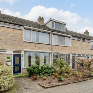 Kerselaar 14 Photo 4