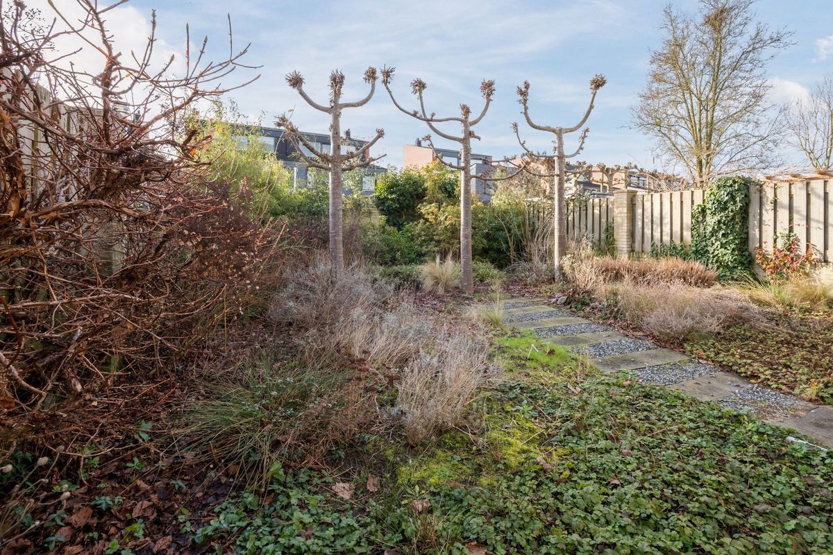 Clara Wichmannstraat 7 Photo Blur 31