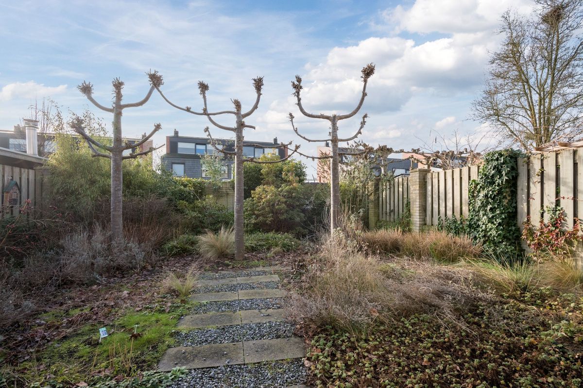 Clara Wichmannstraat 7 Photo Blur 27