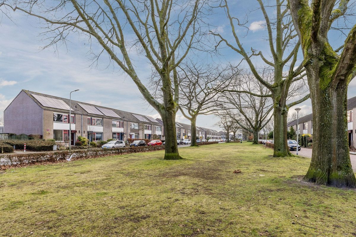 Rector Buijselstraat 4 Photo Blur 42