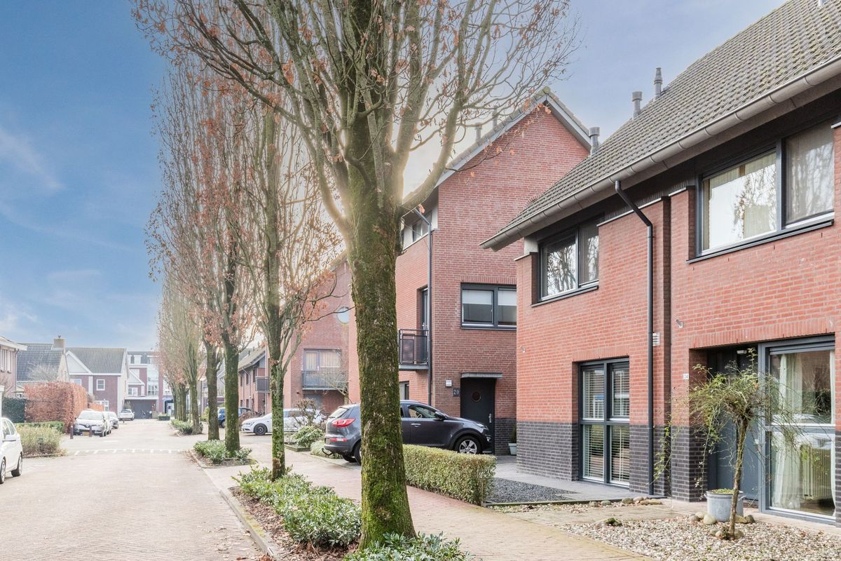 Elstpad 22 Photo Blur 35