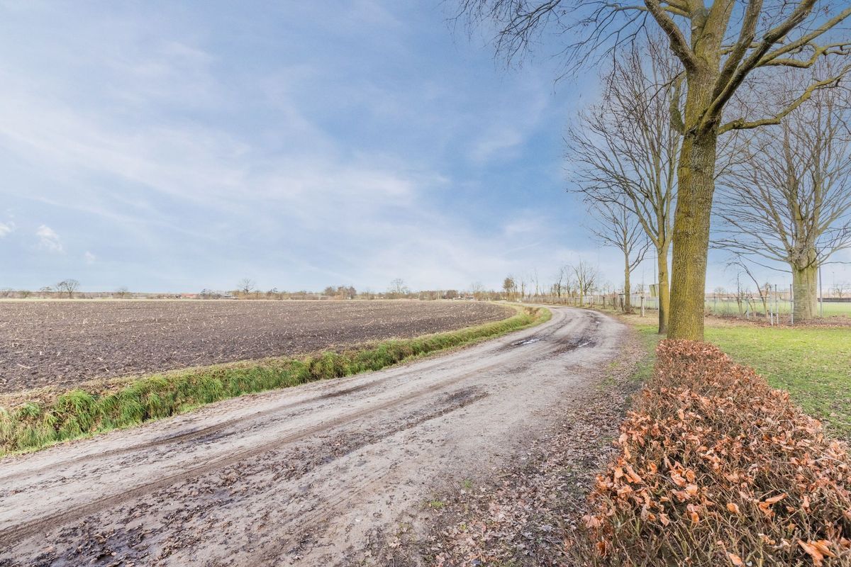 Elstpad 22 Photo Blur 36